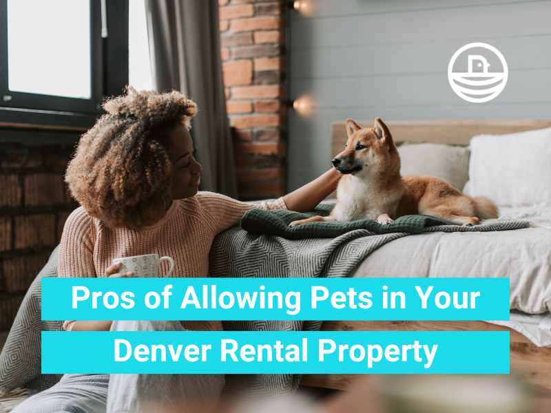 Pros of Allowing Pets in Your Denver Rental Property